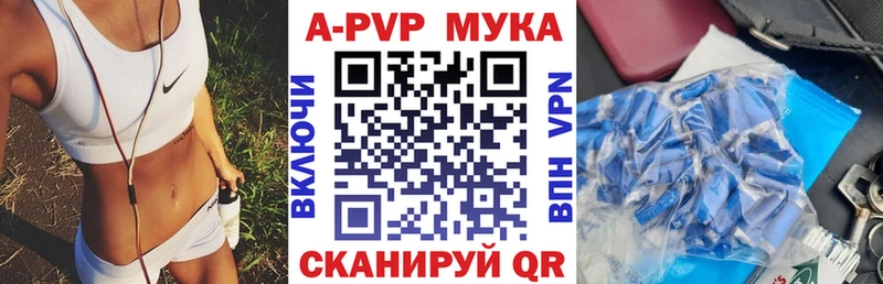 A PVP СК  Каргополь 
