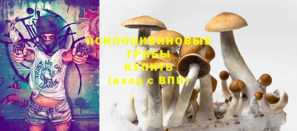 винт Абаза