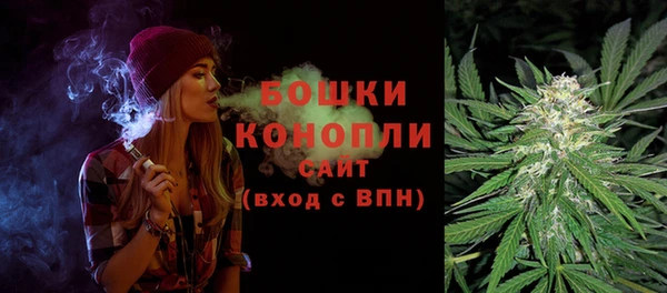 дурь Пестово