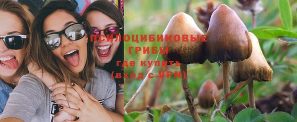 стаф Абинск