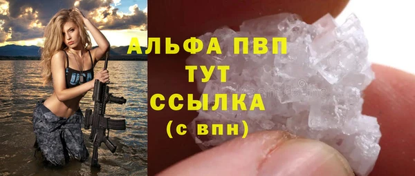 винт Абаза