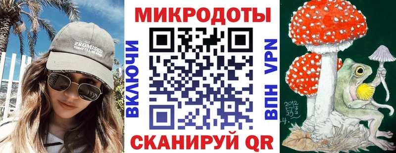 наркота  Каргополь  Псилоцибиновые грибы Psilocybine cubensis 